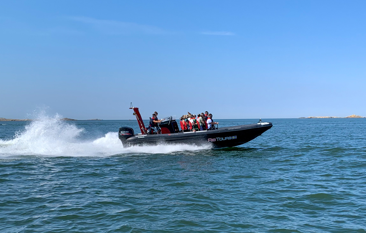 RIB – bild 2